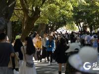 八大关秋色上线，你去赏秋了吗？