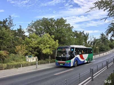 市区公交客流提升近两成！国庆假期，青岛城运保障890.47万人次顺畅出行