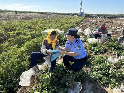 把警力沉到田间地头！青岛深耕“秋收警务”，护航“颗粒归仓”