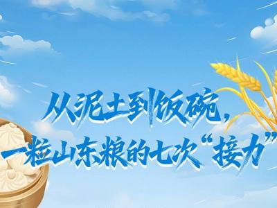 从泥土到饭碗，一粒山东粮的七次“接力”