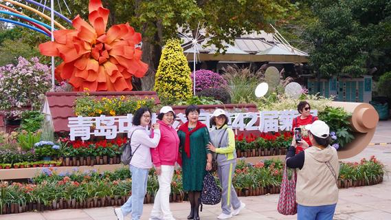 融入海洋元素！青岛中山公园第42届菊展筹备正酣
