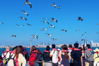 山海有约，潮起奥帆，青岛旅游集团双节体验精彩纷呈