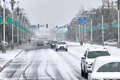 漠河迎来今秋首场降雪，北国景致吸引游客拍照留念
