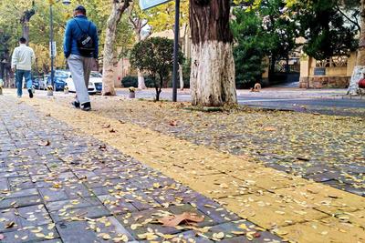 青岛今天阴转多云，市区最高气温22℃，最低气温14℃