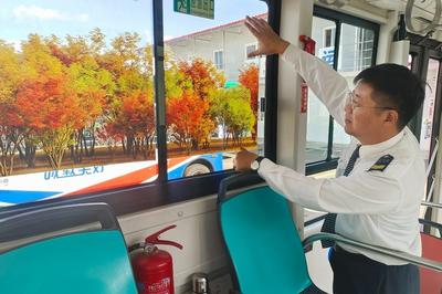 秋日观鸟正当时！青岛环浮山公交线带您共赴生态之约