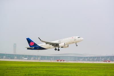 海岛游再添新选择！青岛⇌济州航线27日复航
