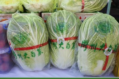 山东胶州大白菜栽培系统入选第八批中国重要农业文化遗产项目