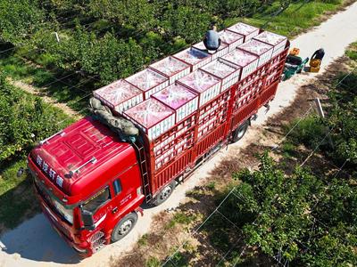 青岛构建全域多维、全时多元服务体系，让“城市奔波者”安身又安心